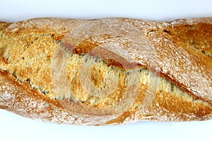 Bread on white background