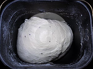 Bread white dough in breadmaker machine dispenser