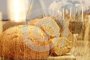 Bread wine wheat field hot sun
