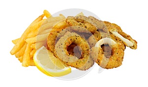 Breadcrumb Covered Calamari And French Fries