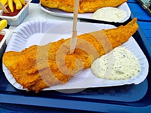 Breaded pollock with tartar sauce and French fries with ketchup