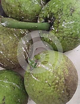 Breadfruit that has been picked from a tree that grows in Indonesia