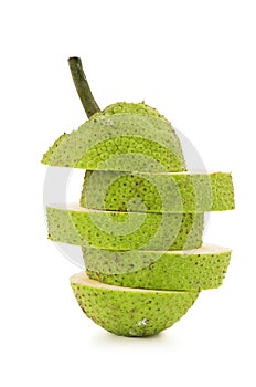 Breadfruit tree or  Artocarpus altilis fruits isolated on white background with clipping path