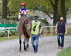 Breadman & Velazquez Going to the Post