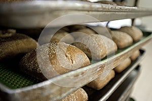 Breads on the bakery oven