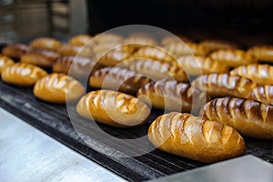 Breads on production line at bakery