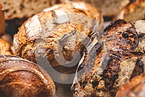 Breads on a showcase in a French bakery