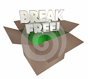Break Free Liberate Yourself Cardboard Box Words photo