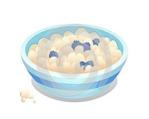 Breakfast bowl with berries. Oatmeal, cereal and blubbery.