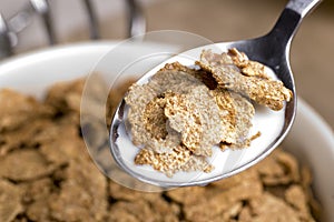 Breakfast Bran Flakes