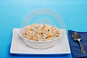 Breakfast cereal with blueberries