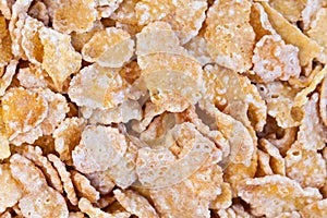 Breakfast cereal flakes