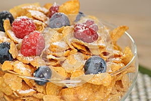 Breakfast cereal with fresh fruit
