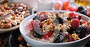 A breakfast of cereals with berries, dry fruits and milk