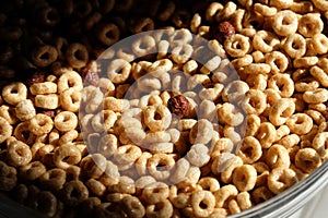 Breakfast cereals in morning light close-up