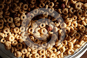 Breakfast cereals in morning light close-up