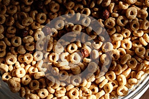 Breakfast cereals in morning light close-up