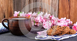 Breakfast chocolate chip cookies, milk Cup cherry blossom sprig, on a wooden rustic background,horizontal view