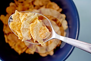 Breakfast Flakes