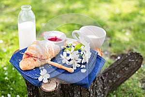 Breakfast with fresh milk and croissant