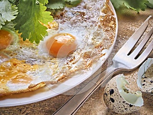 Breakfast. fried eggs with greens on a white plate. next to the eggshell