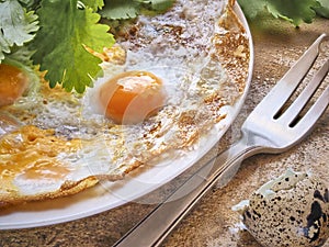 Breakfast. fried eggs with greens on a white plate. next to the eggshell