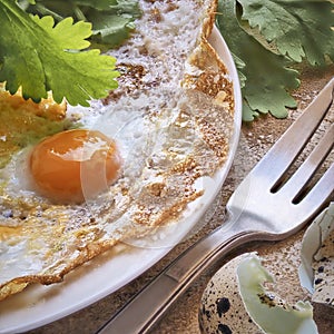 Breakfast. fried eggs with greens on a white plate. next to the eggshell
