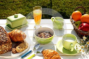 Breakfast in the garden