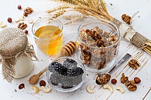 Breakfast - granola, yogurt, berries, nuts, honey, wheat