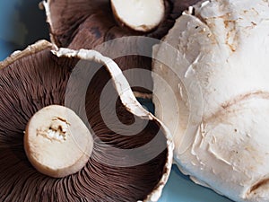 Breakfast mushrooms in detail before being cooked.