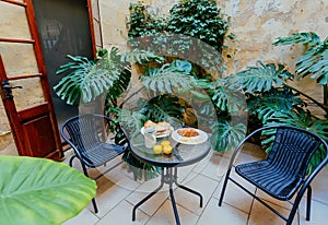 Breakfast plates on table of small green courtyard of historical house in Mediterranian region. Romantic holidays