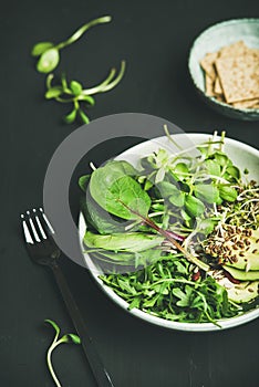 Breakfast with spinach, arugula, avocado, seeds and sprouts in bowl