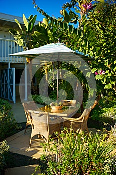 Breakfast Table in Tropical Setting