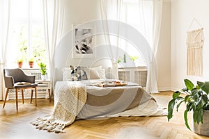 Breakfast tray on a comfy bed with cozy beige sheets and blanket