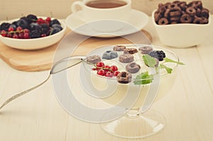 breakfast from yogurt with chocolate flakes and berries/breakfast from yogurt with chocolate flakes and berries. selective focus.