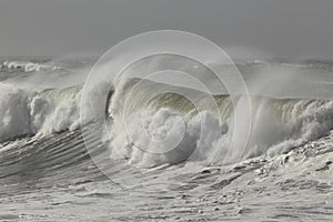 Breaking big wave with spray