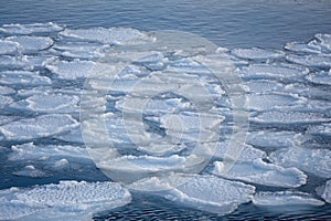 Breaking spring ice floe