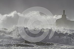 Breaking stormy sea wave