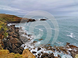 Breaking waves and kelp seaweeds and cloudy sky at the Pacific ocean shore in the Slope Point on the South Island of New Zealand photo