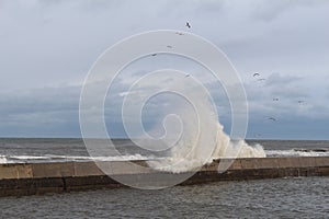 Breakwall photo