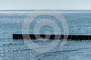 Breakwater on beach. Wooden sea separator. Beautiful seascape. Protection holidaymakers from effects of both weather and longshore photo