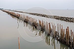 Breakwater make from bamboo and stone, protects the waves from sea