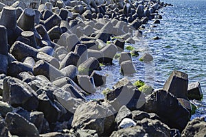 Breakwater in sea. Coastal defense barrier made of concrete tetrapod breakers covered in green moss