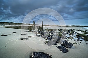 Breakwater with wooden poles during low tide on a dry beach near Zoutelande in the province of Zeeland, the Netherlands