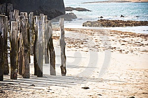 Breakwaters on seashore Saint malo, France