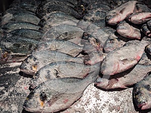 Bream covered with salt ready to be cooked