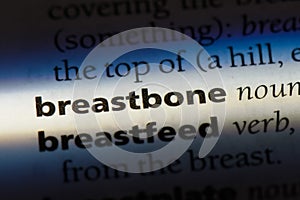 breastbone