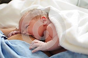 Breastfeeding a newborn photo