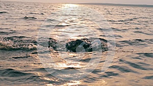 Breaststroke swimmer is crossing the ocean at sunset