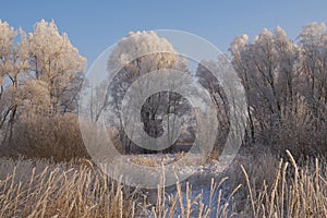 Breath of winter, first ice on the lake, dawn on a frosty morning with frost on the grass, close-up of frost, patterns